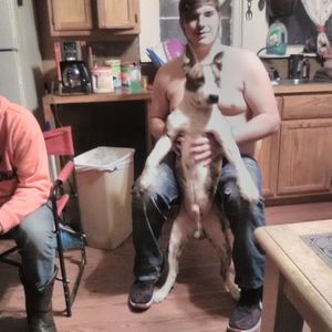 Meet your Posher, Jessie